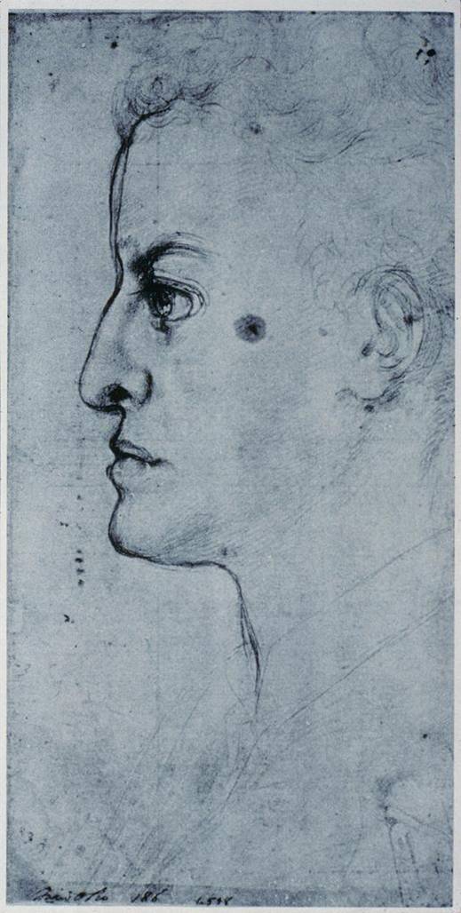 Cosimo pontormo - Lisa Kaborycha